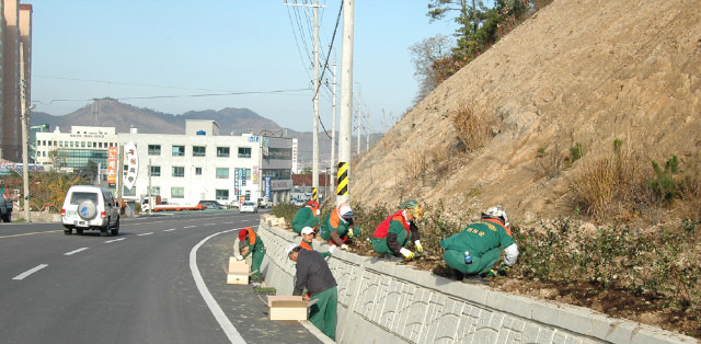 사계절꽃 이미지