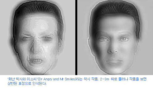 더펌 이미지